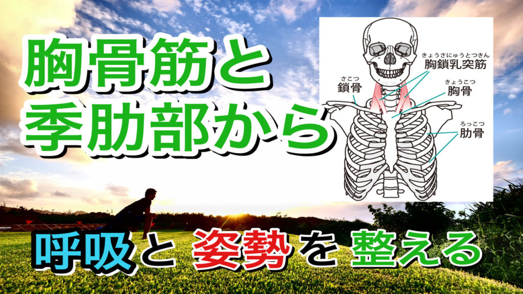 胸骨筋と季肋部から呼吸と姿勢を整える画像